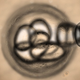 Illustration for article titled European Court Bans Patenting Many Types of Stem Cell Research; Science Freaks Out
